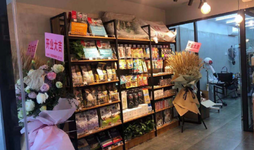 开宠物店怎么加盟 开宠物店怎么加盟