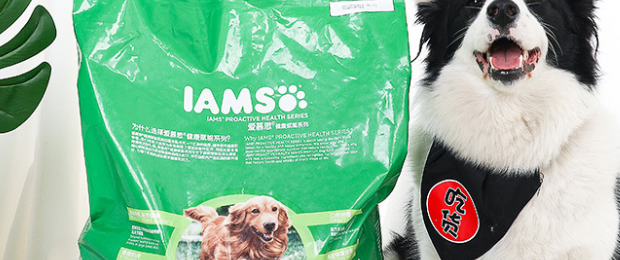 IAMS爱慕思狗粮让我家狗狗宝贝塑造完美体形 IAMS爱慕思狗粮让我家狗狗宝贝塑造完美体形