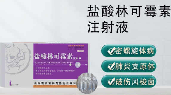 林可霉素最佳搭配 林可霉素最佳搭配