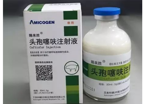 头孢噻呋钠的功能与主治