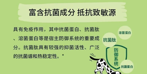 新品｜一款解决宠物过敏问题的德国进口昆虫蛋白宠粮