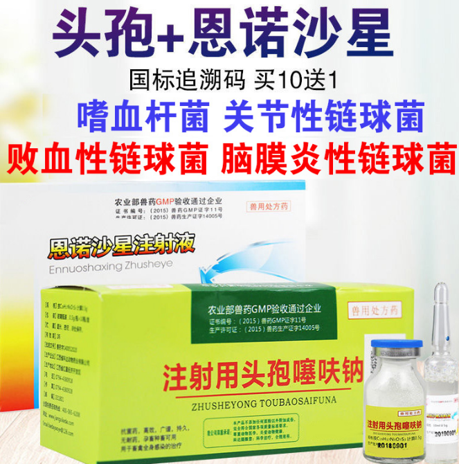 兽用恩诺沙星可以兑头孢吗