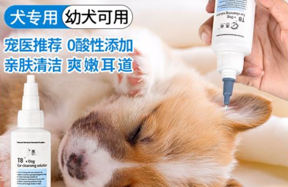 狗狗耳螨用什么药最快 狗狗耳螨用什么药最快