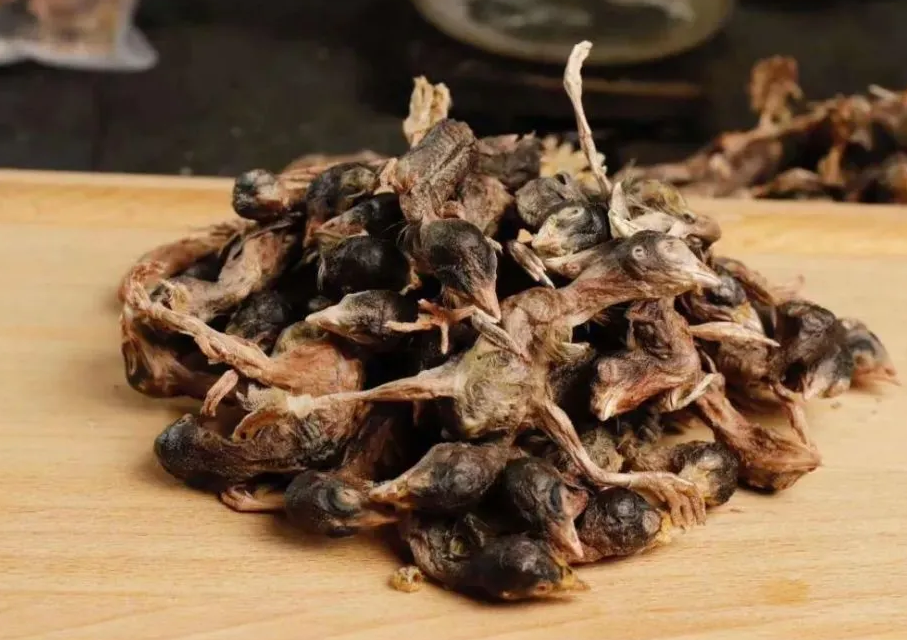 猫吃油炸鹌鹑好吗