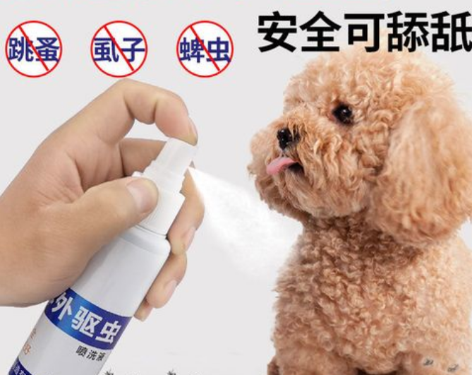 宠物体外驱虫药怎么用视频 宠物体外驱虫药怎么用视频