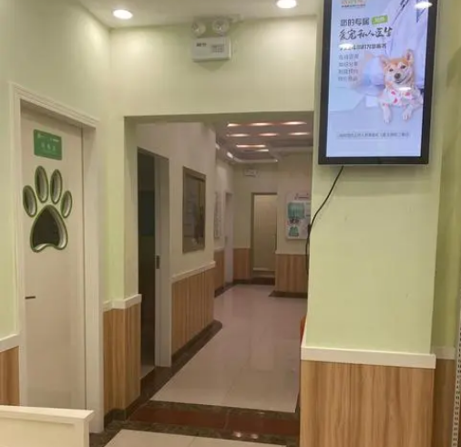 宠物医院多少钱能开