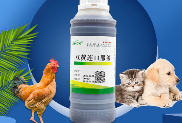 双黄连口服液和盐酸氨溴索一起吃吗