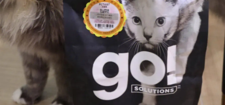 快来抄作业 | GO!猫粮教你对症解决猫咪呕吐问题 快来抄作业 | GO!猫粮教你对症解决猫咪呕吐问题