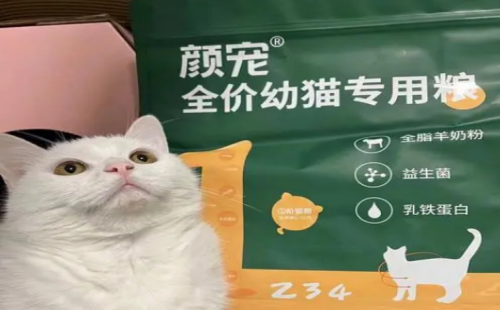 颜宠