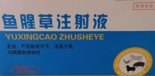 鱼腥草注射注液兽用功效