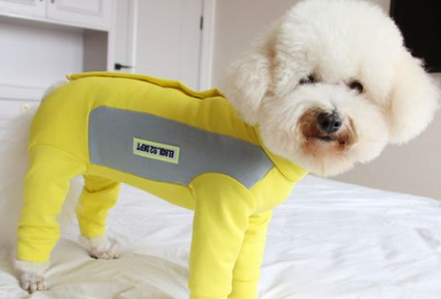 安班宠物衣服怎么样