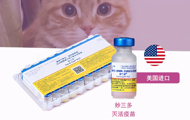 妙三多疫苗 为猫咪的安全保驾护航-宠物网