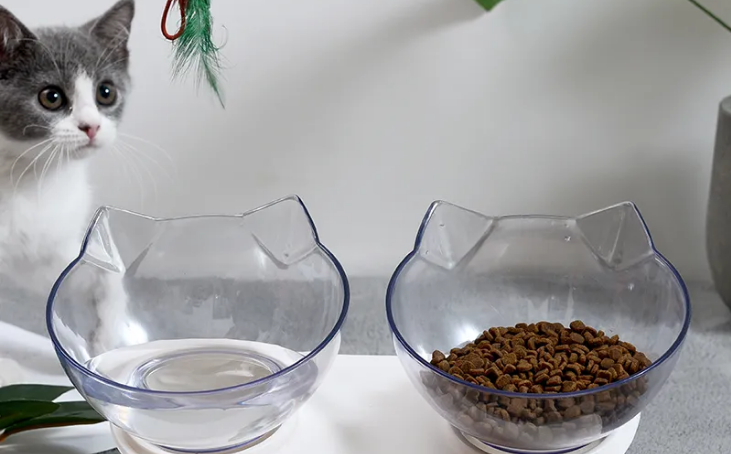 猫护颈碗是智商税吗