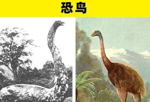 被认为是文学作品创造物，但在地球上真实存在过的7种生物