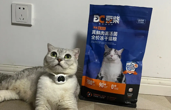 为啥说豆柴是毒猫粮 为啥说豆柴是毒猫粮