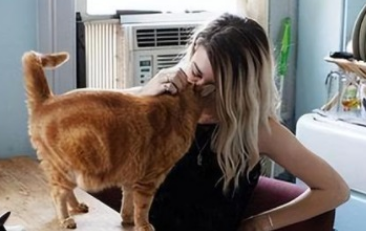 猫咪为什么爱咬人鼻子