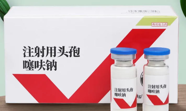 兽药安痛定和头孢配伍