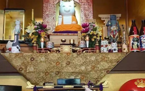京都“猫猫寺”狂吸粉大喵,信徒超虔诚! 京都“猫猫寺”狂吸粉大喵,信徒超虔诚!