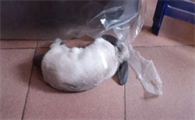 兔子积食怎么揉肚子
