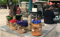 保定哪个鸟市的鸟便宜