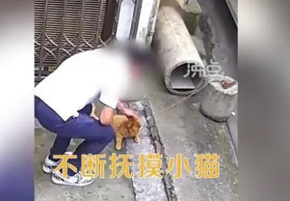 男子用小刀割断看门猫尾巴 网友：这是人干的事吗？