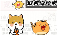 很小众却很惊艳的宠物名字