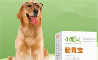 幼犬肠胃宝一天喂几次