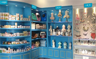 如何开宠物用品网店