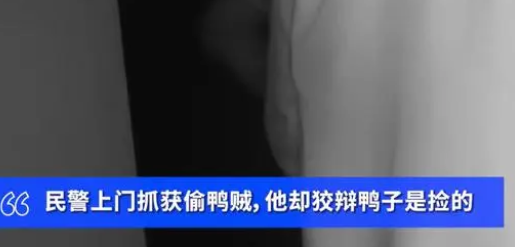 上海警方高效救下市民宠物鸭,嫌犯因盗窃被拘留 上海警方高效救下市民宠物鸭,嫌犯因盗窃被拘留
