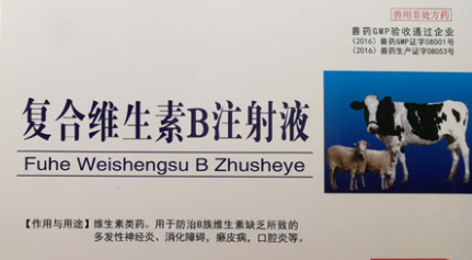牛打复合维生素b多久能反刍