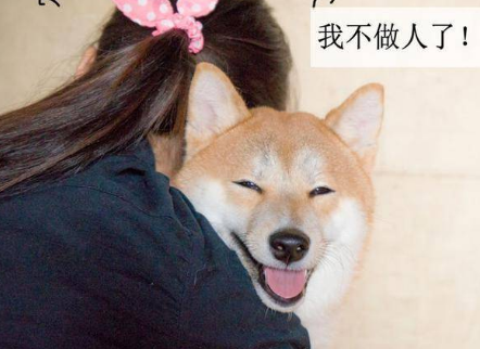 人不如狗的意思