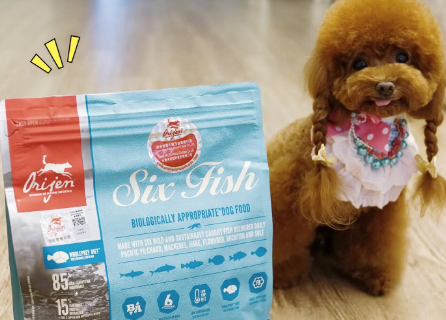 渴望狗粮正品分辨 渴望狗粮正品分辨