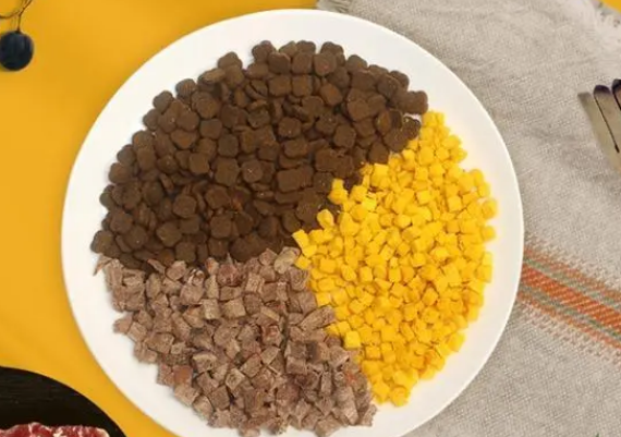 德尔菲特狗粮怎么样?确实很不错! 德尔菲特狗粮怎么样?确实很不错!