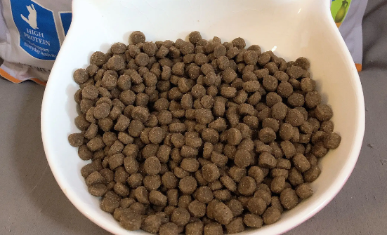 猫粮啤酒酵母粉的危害