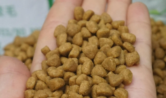 最佳如何制作金毛犬狗粮啊 最佳如何制作金毛犬狗粮啊