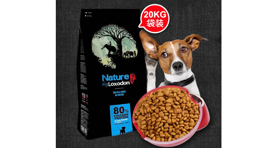 象族狗粮分享:如何给肠胃敏感的狗狗选择合适的狗粮 象族狗粮分享:如何给肠胃敏感的狗狗选择合适的狗粮