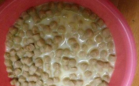 博美狗粮怎么泡 博美狗粮怎么泡
