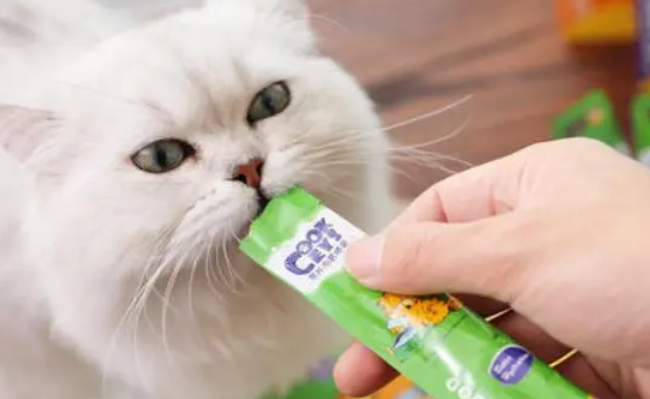 小猫吃猫条拉稀正常吗