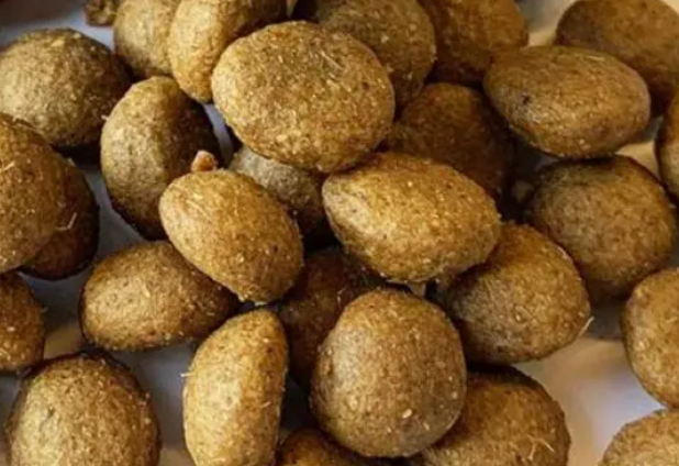 狗粮界的创新之选!乐施昆虫蛋白狗粮,让汪星人享受绿色健康生活 狗粮界的创新之选!乐施昆虫蛋白狗粮,让汪星人享受绿色健康生活