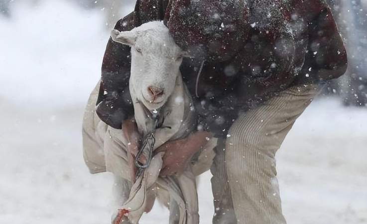 人类战斗力如此之弱，为何大多数野生动物都害怕我们？