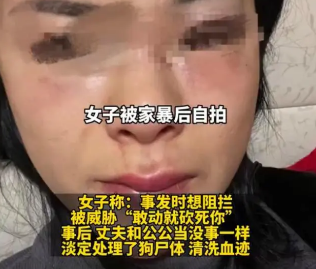 家暴男被指当妻子面砍杀宠物狗,当地有关部门已介入调查 家暴男被指当妻子面砍杀宠物狗,当地有关部门已介入调查