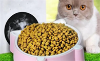 猫粮三大毒粮是哪三个品牌