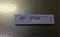 猫瘟试纸第二条杠若隐若现