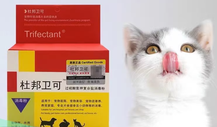 杜邦卫可对猫咪有影响吗