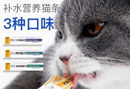 古锐特猫条怎么样