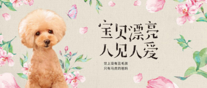 为美而生——小野俪香宠物日粮 为美而生——小野俪香宠物日粮