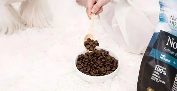 狗粮如何拆封包装的