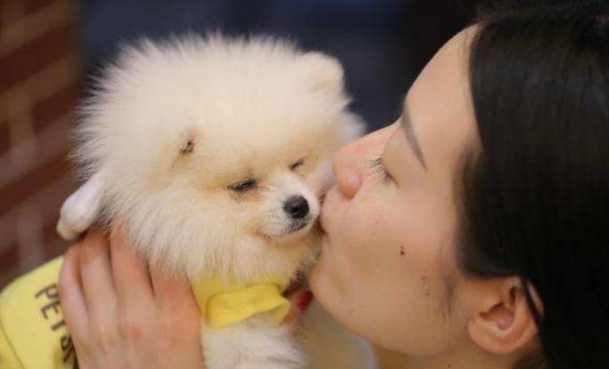 为什么不要经常亲狗狗的嘴呢 为什么不要经常亲狗狗的嘴呢