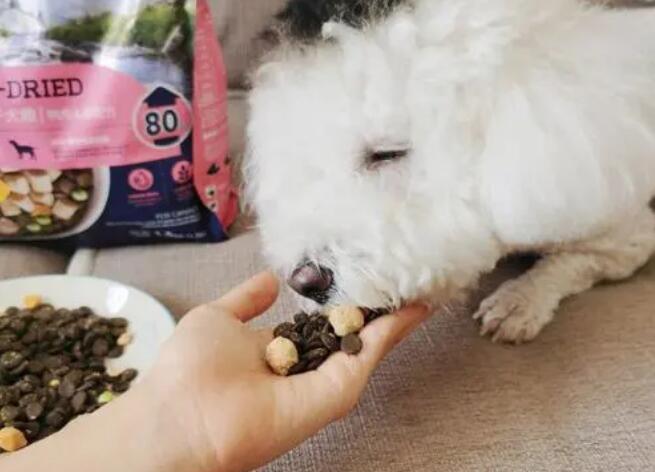 小型犬吃什么狗粮好,性价比高的