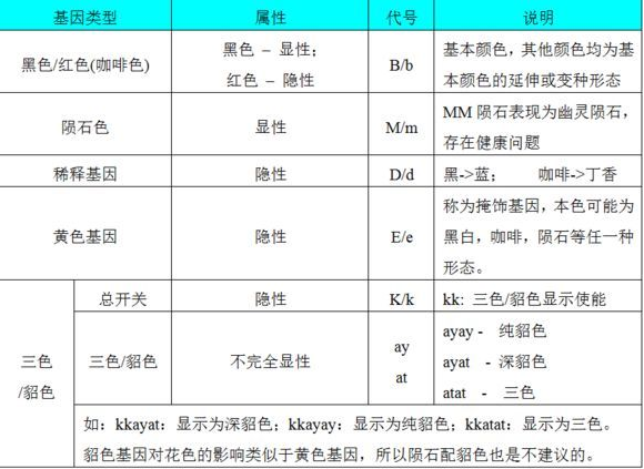 边牧颜色禁配表 边牧颜色禁配表
